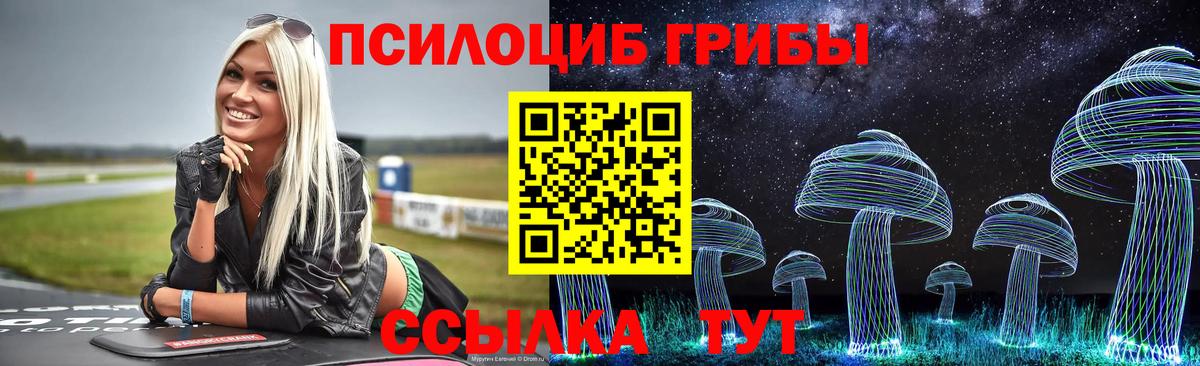 Псилоцибиновые грибы мицелий  Вход с VPN  Десногорск  Галлюциногенные грибы мицелий 
